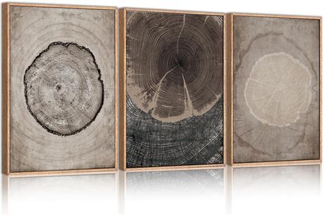 CHDITB Beige Tree Ring Framed Canvas Wall Art Set, Modern Wood Stump Wall