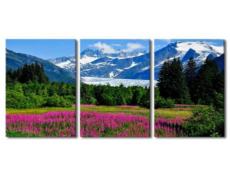 3 Piece Canvas Wall Art Nature Glacier US Alaska Mountains Home Wall Art