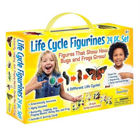 OFFSITE Insect Lore Life Cycle Figurines 24 Piece Set with Handy Carry Case