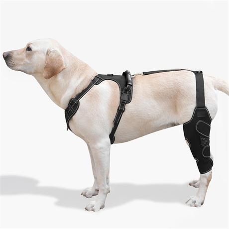 Dog Knee Brace with Adjustable Support – ACL & CCL Tear Recovery, Post-Surgery