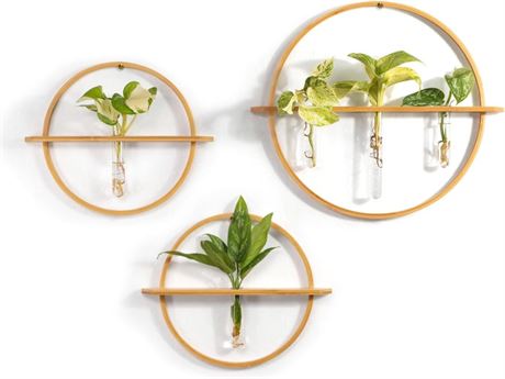 Propagation Stations - Set of 3 Bamboo Wall Planters for Indoor Plants |