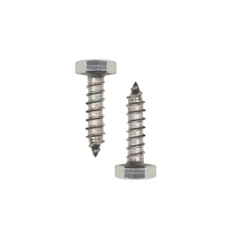 25PCS Stainless Steel Lag Bolts 1/4" x 1" Hex Lag Screws, Silver