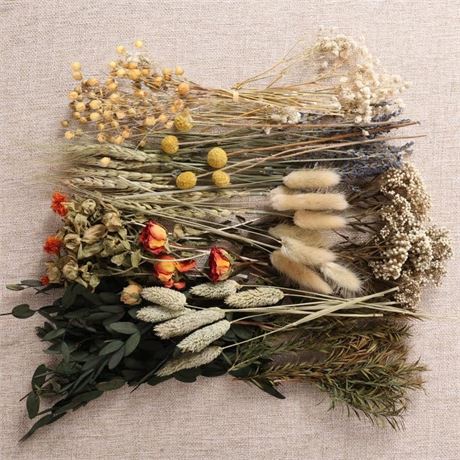 12 Kinds of Dried Flowers for Crafts Bulk DIY Natural Dried Pampas Grass Rose