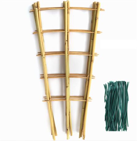 SWANGSA 6 Pack Bamboo Trellis 24 Inches for Climbing Plants, Fan-Shaped Bamboo